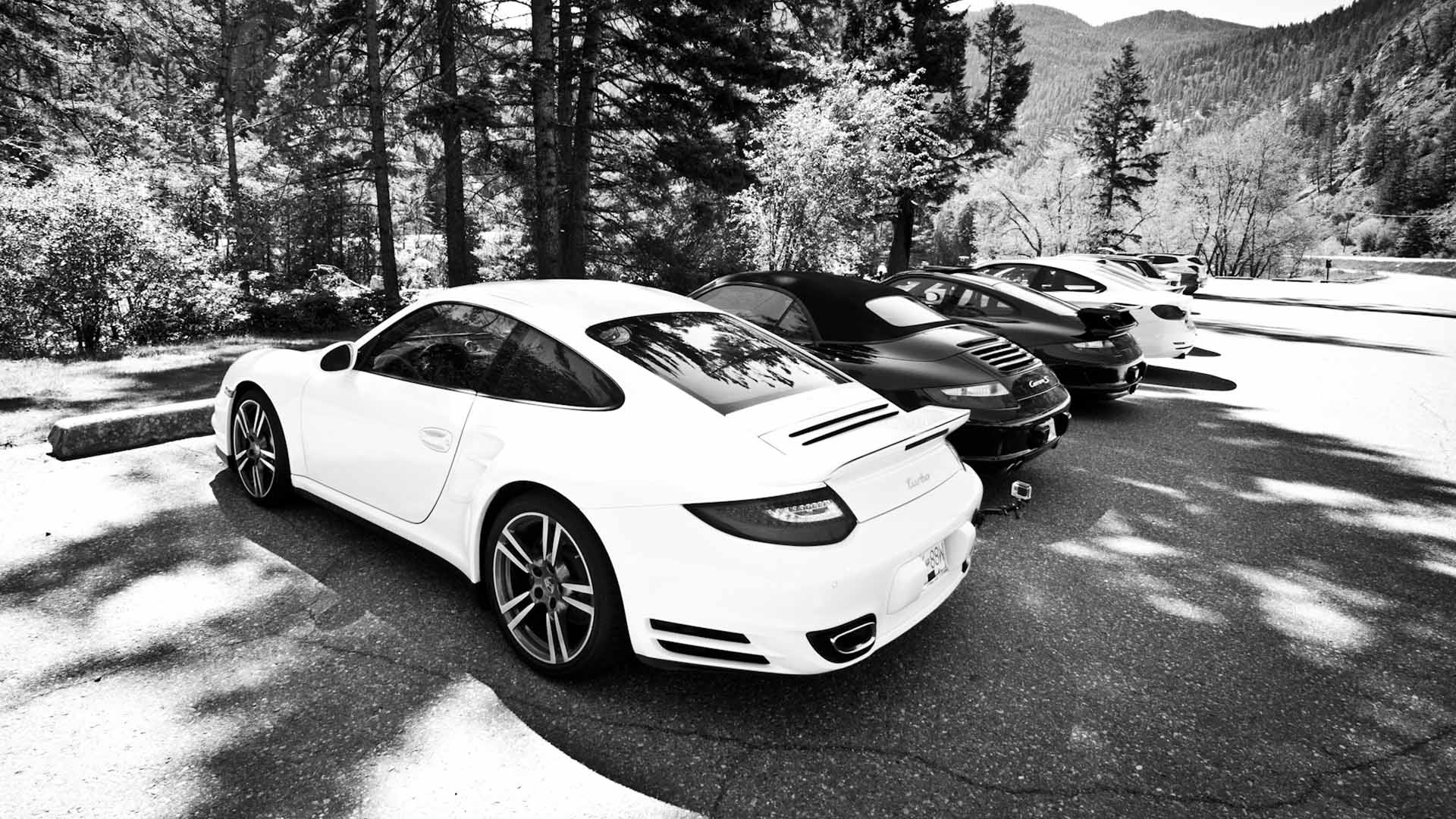 Porsches parked together