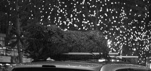5 Vehicle Safety Tips for the Holidays